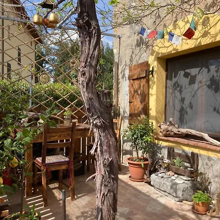 Stella D'oriente Homestay Pomaia